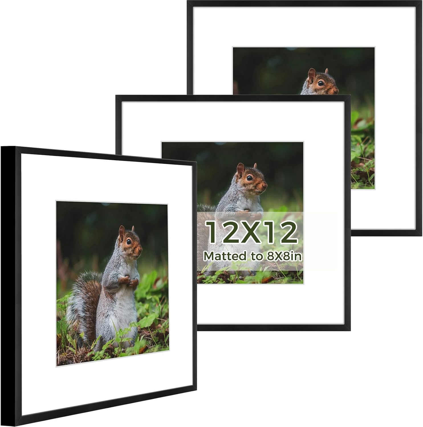Golden State Art 3 Pack 12x12 Black Aluminum Frames, Real Glass Fronts
