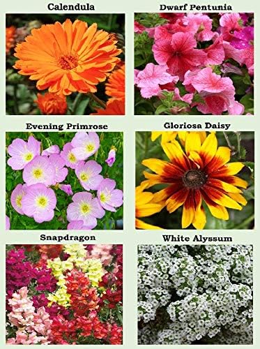 25 Heirloom Flower Seed Packets for Planting: 20+ Varieties Flower Seeds - Forget Me Not, Sunflower, Marigold, Zinnia Lilliput, Snapdragon
