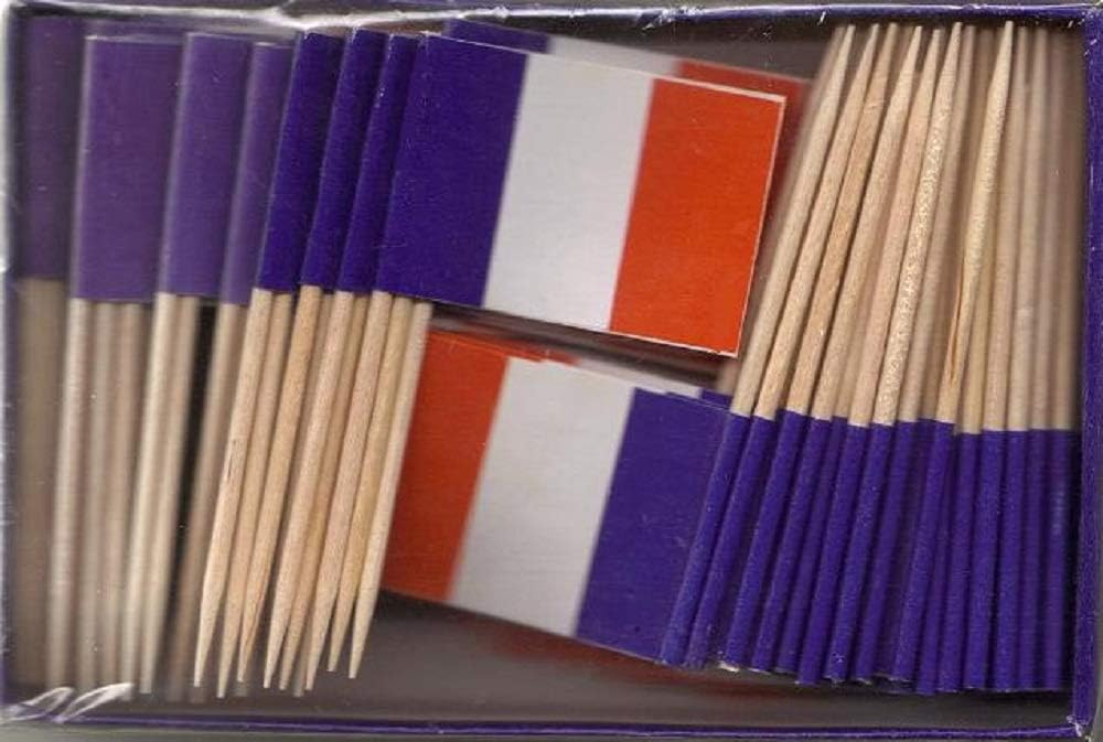 One Box of 100 Nicaragua Toothpick Flags, 100 Small Mini International Flag Cupcake Toothpicks or Cocktail Picks