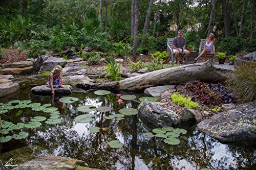 Aquascape 45 Mil EPDM Pond Liner 8 ft x 10 ft, Heavy-Duty Fish-Safe Liner for Ponds, Waterfalls, Fountains, and Water Gardens