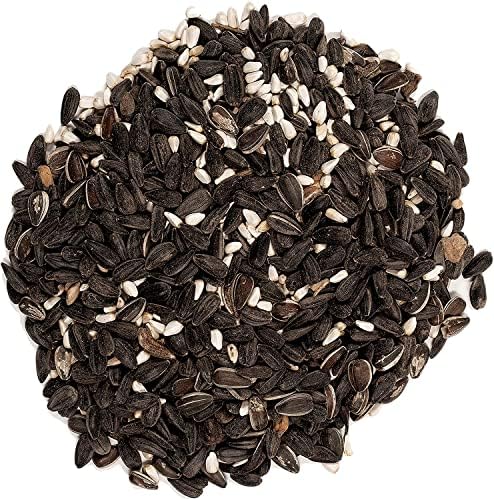Wagner's 62032 Cardinal Blend Wild Bird Food, 6-Pound Bag