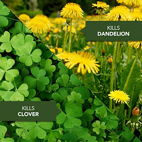 BioAdvanced Season Long Weed Control For Lawns, Concentrate, 29 oz