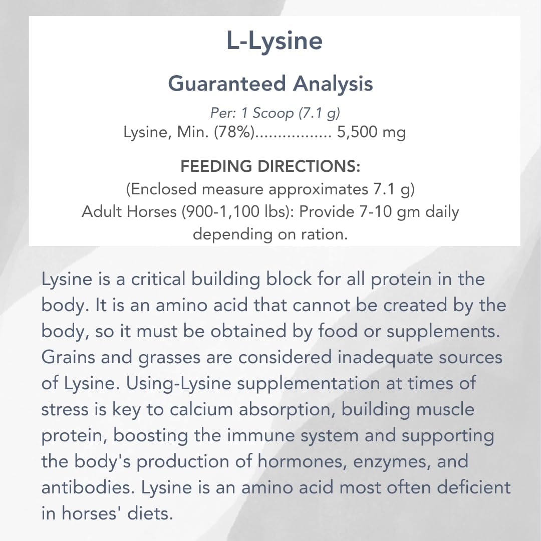 MVP L-Lysine (10lb) for Equine Muscle/Immune Support