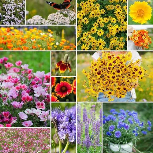 Eden Brothers The Bees Knees Pollinator Wildflower Seed Mix, 1/4 lb (135,000+ Seeds) Throw and Grow - 100% Pure, No Fillers - 18-Variety Non-GMO Annual + Perennial, Covers up to 1,100 SqFt, Zones 3-10