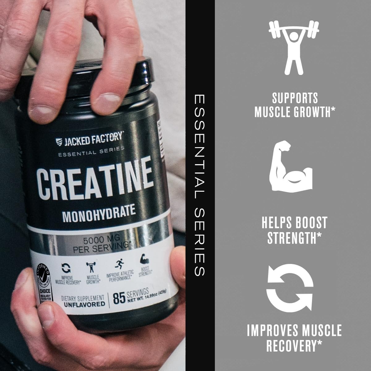 Jacked Factory Creatine Monohydrate Powder 425g - 5g Daily Micronized Creatine Monohydrate for Men and Women, Vegan-Friendly