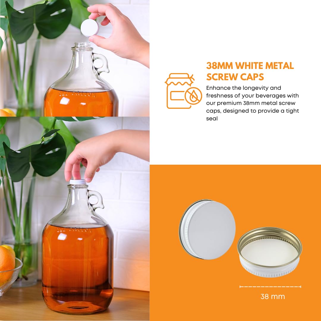 Home Brew Ohio 1 Gallon Glass Water Bottle Includes 38 mm Metal Screw Cap