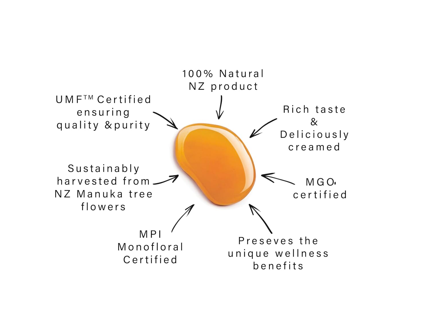 Manuka Honey 500g UMF 20+ (MGO 826+) Pure New Zealand Honey 1.1 lb