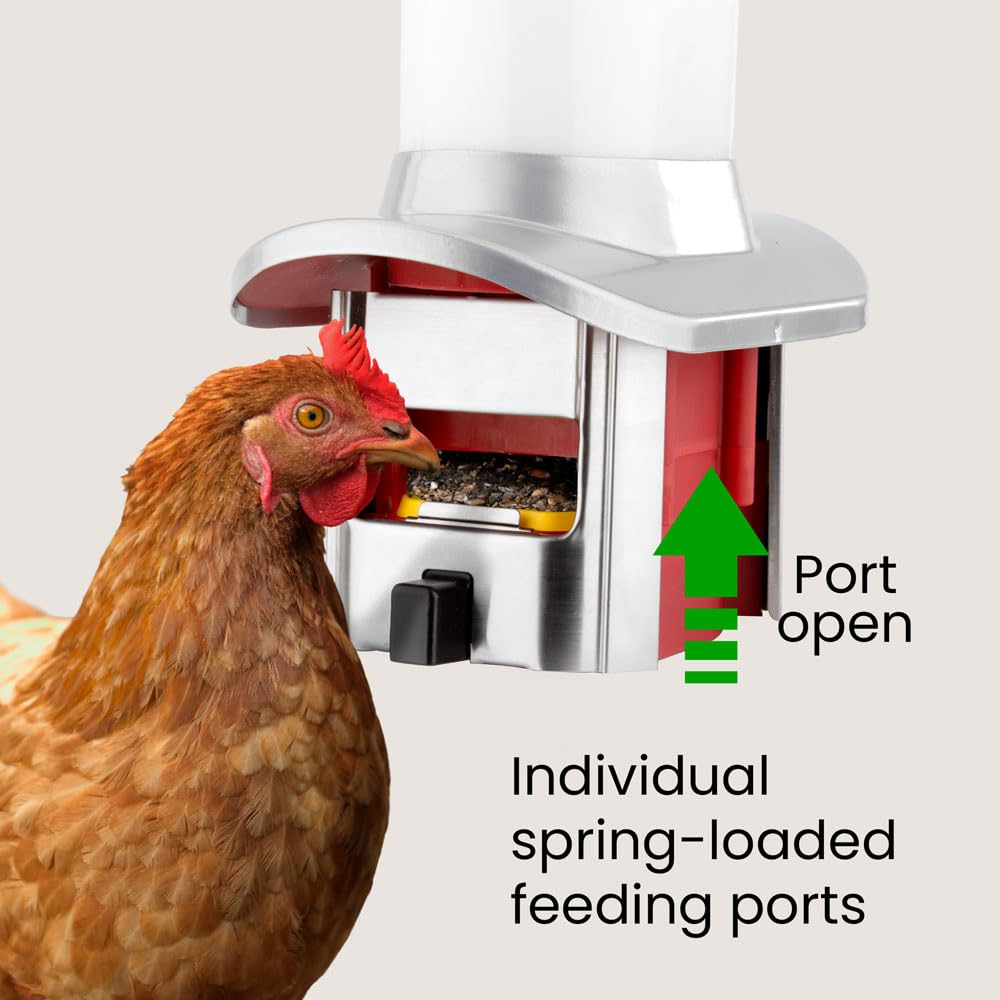 Roamwild Rat Proof Chicken Feeder kit - Rat Proof Poultry Feeder – Weather Proof - 8lbs Capacity - NEW PRODUCT