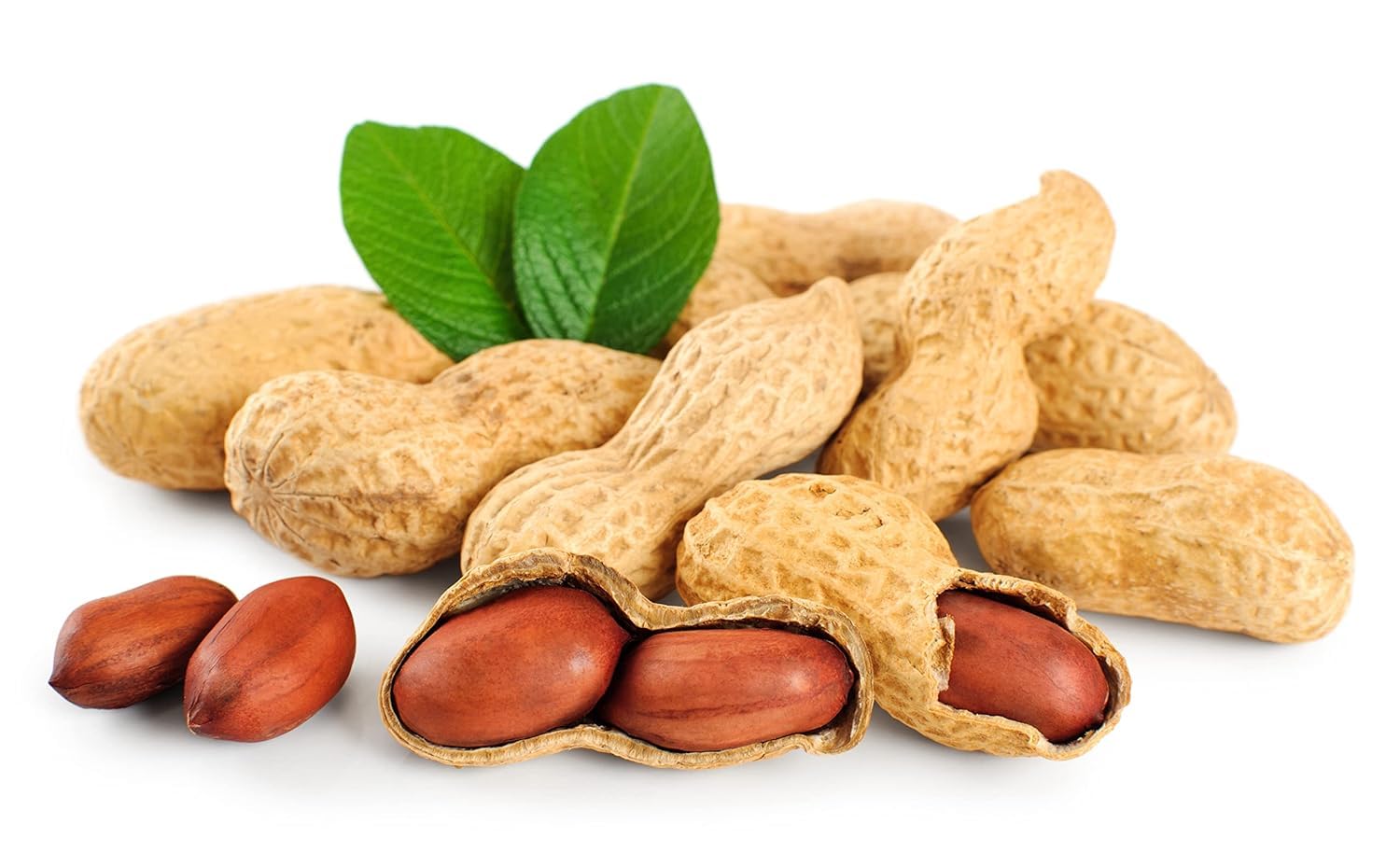 Fruidles Raw Peanuts, 2 Pound Bag Raw Peanuts in Shell, Great for Boiling, Squirrels Feed, Birds Feed and Wildlife
