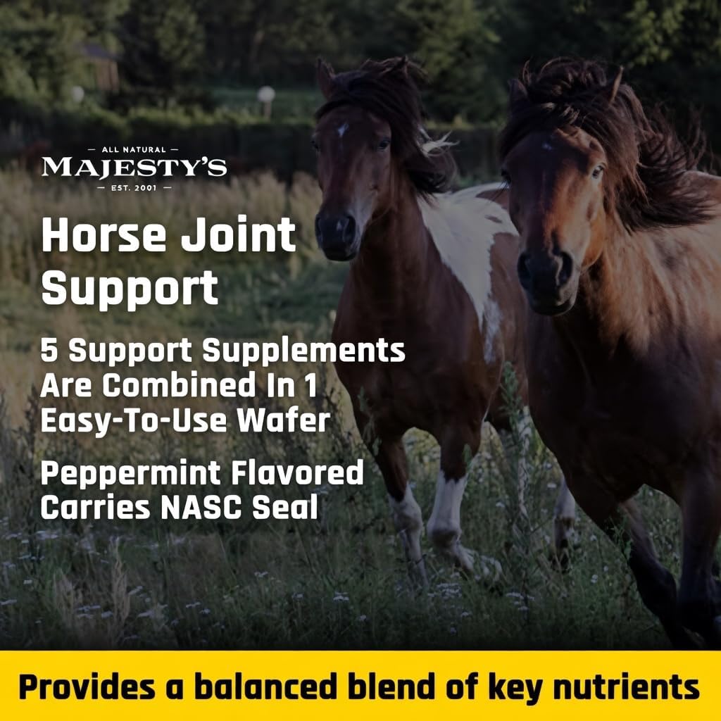 Majesty's Flex Wafers - Superior Horse/Equine Joint Support Supplement - Glucosamine, MSM, Chondroitin, Yucca, Vitamin C (Regular, 2 Pack (120 Count Total))
