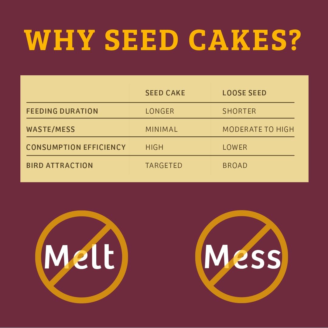Birds Choice Bugs 'N Nuts Seed Cake | Wild Bird Food with Insects & Fruit | High-Energy Mix of Sunflower Chips, Peanuts