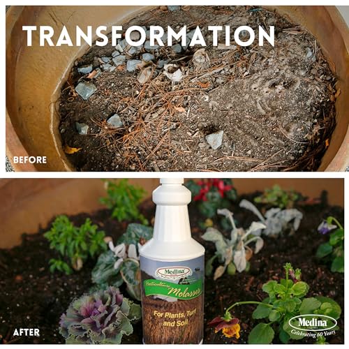 Medina Horticultural Molasses, 1 Qt - Nutrient-Rich Soil & Plant Feed | Feeds beneficial microbial life; supports organic gardening; versatile on lawns, gardens & trees