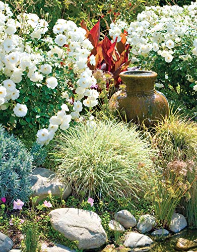 Western Home Landscaping: 42 Landscape Designs, 300+ Plants & Flowers Best Suited to the West (Creative Homeowner) Garden & Landscape Ideas for AZ, CA