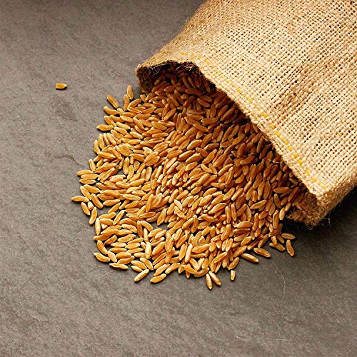 Handy Pantry Organic Kamut Seeds – 35 lb – Bulk Ancient Grain | Emergency Food Storage, Baking, Sprouting, Milling