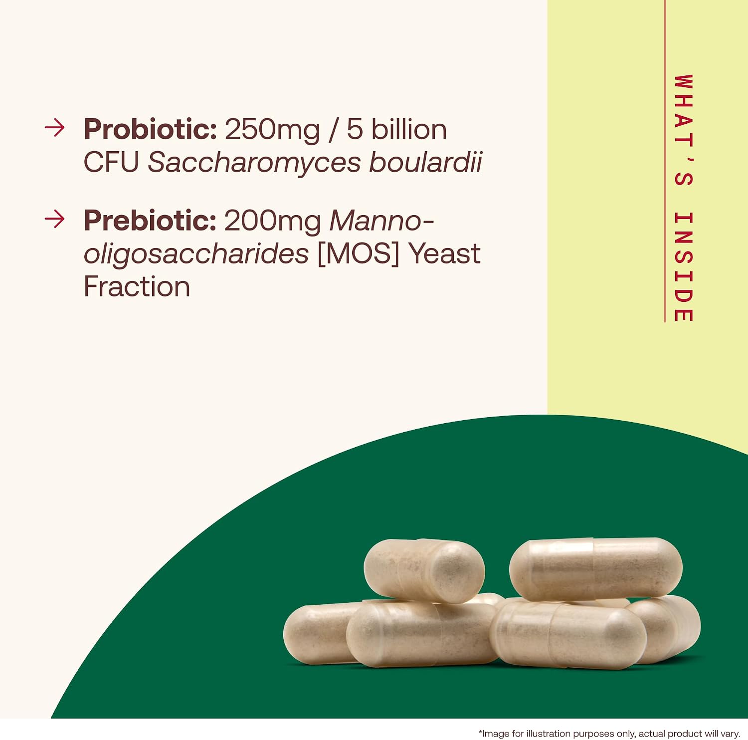 Jarrow Formulas Saccharomyces Boulardii + MOS Probiotics for Digestive Health and Intestinal Tract Support - 5 Billion CFU Per Serving - 90 Delayed Release Caps - Probiotic + Prebiotic - 90 Servings | Intestinal Tract Support, 5 Billion CFU Per Serving,…