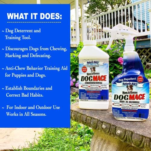 Nature's MACE Dog Mace Dog Repellent 1 Gallon Concentrate | Potty Training Tool Spray, Indoor & Outdoor, Pee Deterrent, Safe Around Kids, Pets, Garden & Plants, Treats 48,000 Sq. Ft.
