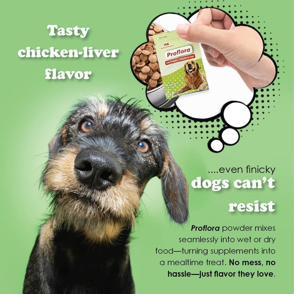 Probiotics and Prebiotics for Dogs – Daily Digestive Health Supplement, Supports Immune System, Gut Health, Healthy Digestion & Nutrient Absorption, 30 Powder Sachets.