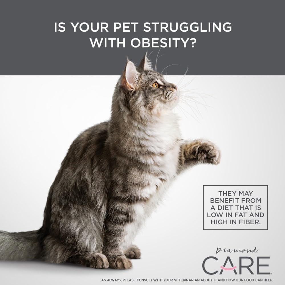 DIAMOND CARE Weight Management Adult Dry Cat Food, Chicken, 15lb | For Cats with Weight Control Issues | L-Carnitine Aids in Fat Metabolism | Taurine for Heart & Eye Health