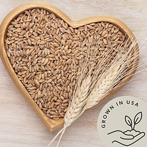 Organic Einkorn Farro Grain 4.8 lb - Einkorn Wheat Berries Bulk Whole | Ancient Grains Ideal for Soup, Flour, Bread - High in Fiber - USA Grown | USDA Certified | Vegan | Non-GMO