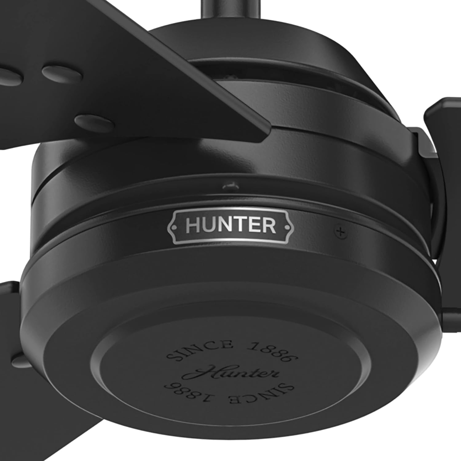 Hunter Cassius, Outdoor or Indoor, Ceiling Fan, 44 inch, Matte Black