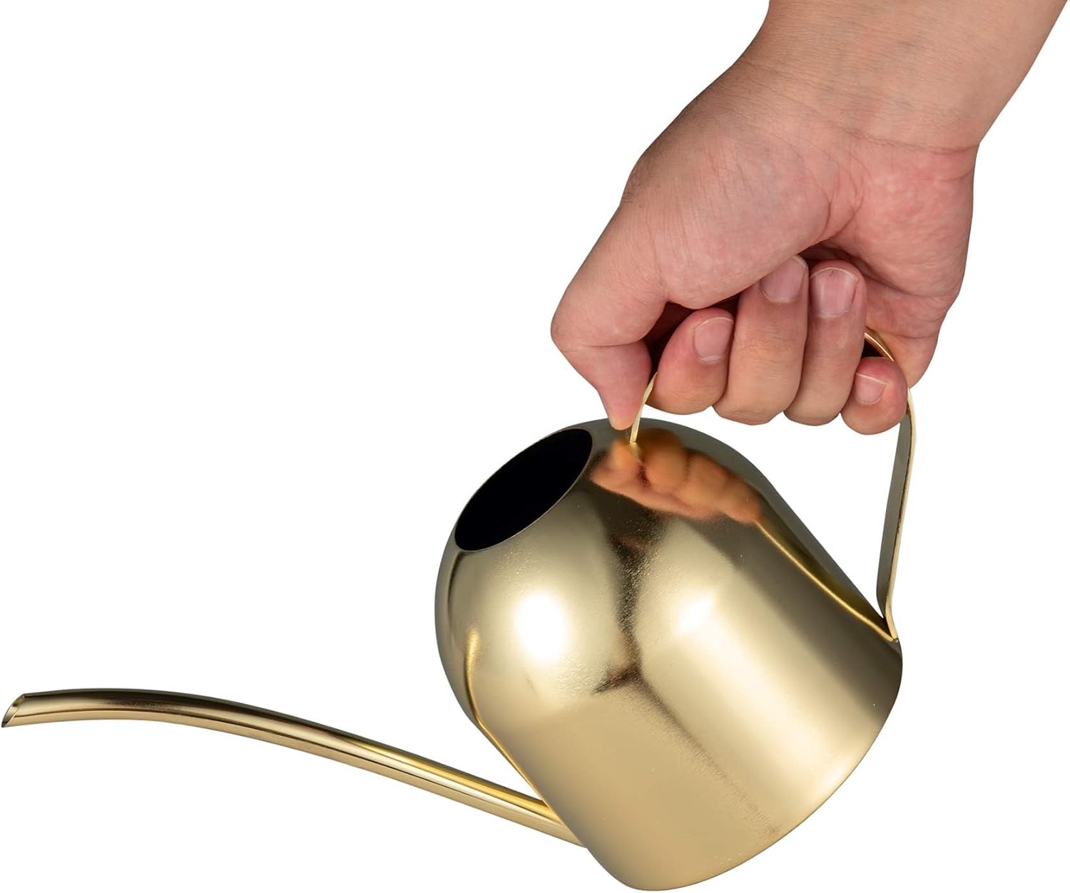 IMEEA Indoor Watering Can for House Plants 33oz/1L Brushed Stainless Steel Watering Can with Long Spout for Succulents, Bonsai