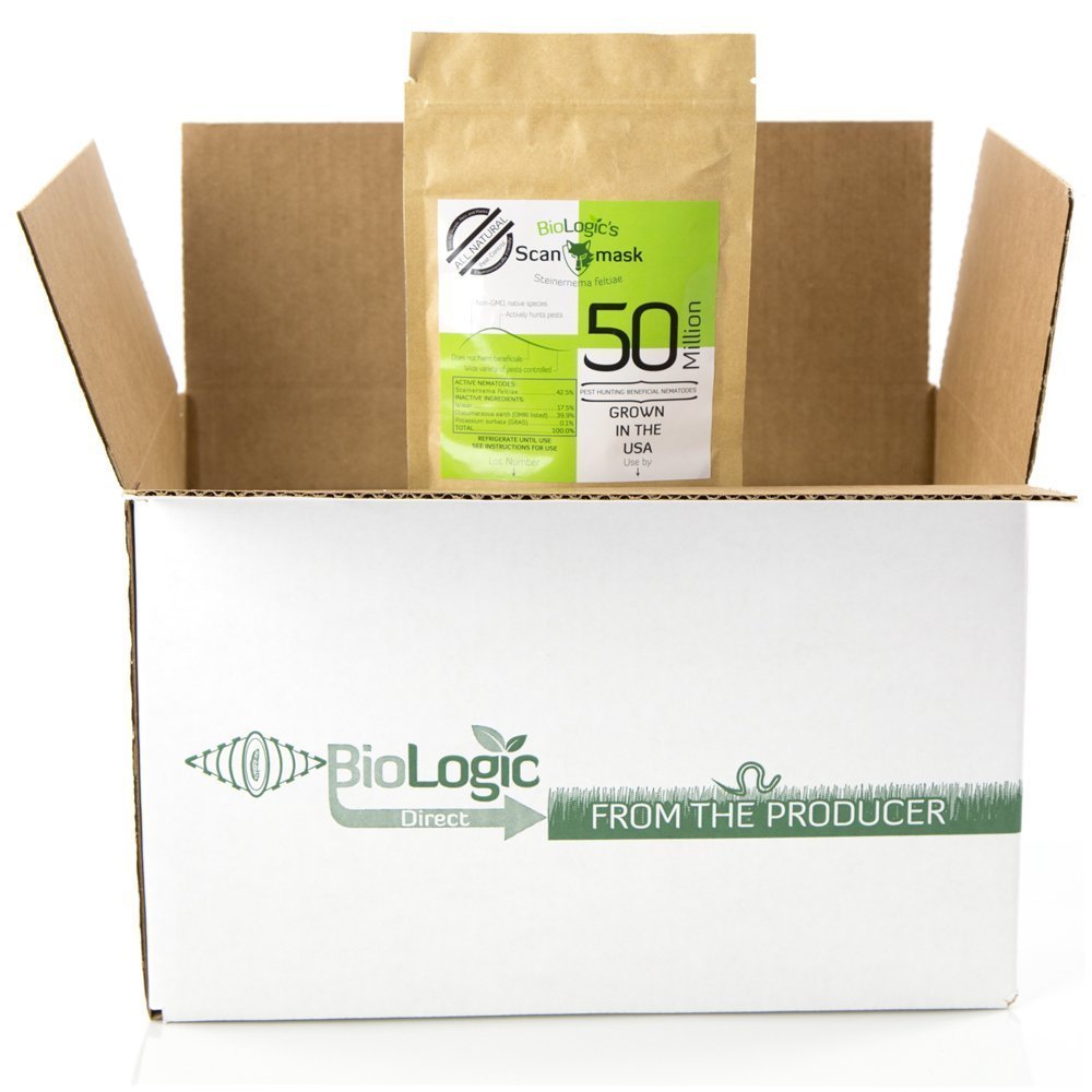 BioLogic's Scanmask Beneficial Nematodes, Steinernema feltiae Sf Nematodes for Natural Insect Pest Control (50 Million)
