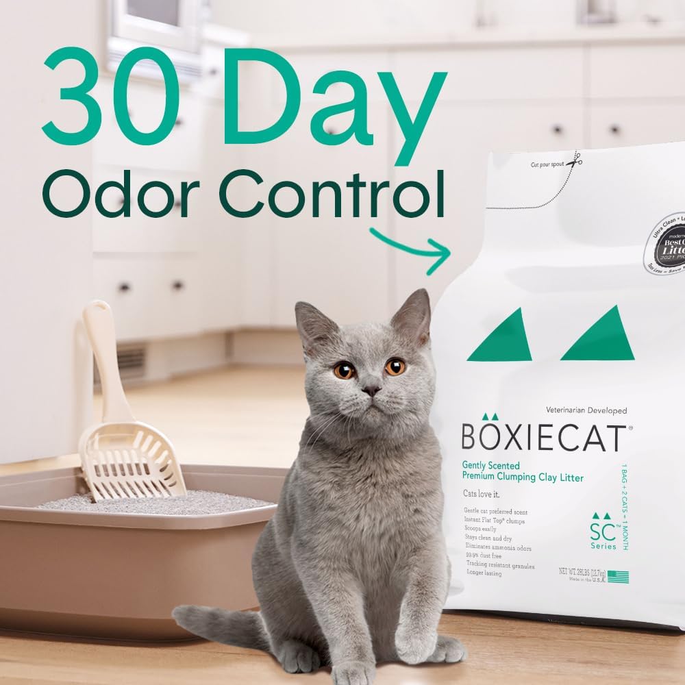 Boxie Premium Unscented Clumping Cat Litter 30+ Day Odor Control 16 lb