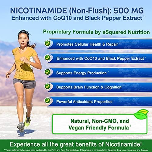 Nicotinamide with CoQ10 (120 Capsules) - Vitamin B3 500mg (Niacinamide Flush Free) - Coenzyme Q10 Powder - VIT B-3 & Coq 10 Supplement Pills to