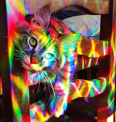 Rainbow Symphony- Rainbow Prism Suncatcher for Window, Crystal Pattern, Includes a Bonus Rainbow on Board Sun Catcher, Made in USA