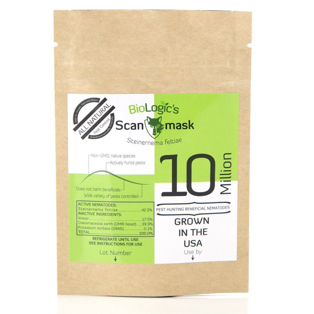Scanmask Beneficial Nematodes, Steinernema feltiae Sf Nematodes for Natural Insect Pest Control (10 Million)