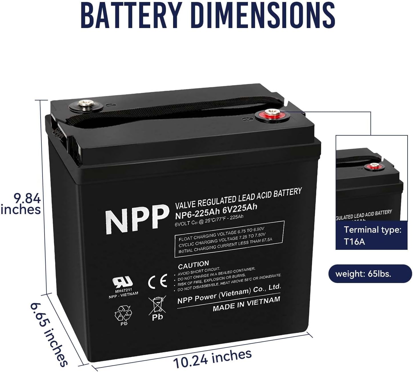 NPP 6V 225Ah AGM SLA Battery with T16 (M8) Terminal for Golf Cart (2 Pcs)