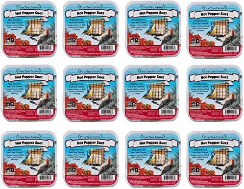 6 Pack Pine Tree Farms Hot Pepper Suet Cake 12 oz Made in USA
