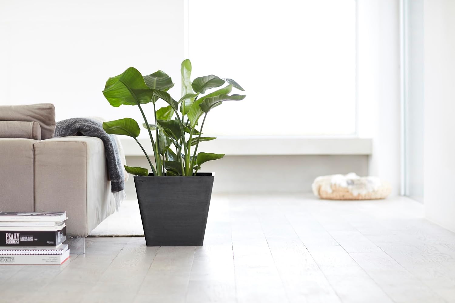 Ecopots Rotterdam Square Flower Planter, White Grey, 8" | Modern Style, Durable Recycled-Based Composite Construction, Weather and UV-Resistant, for Indoor/Outdoor Use