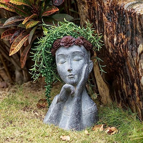 Newman House Studio Face Cactus Succulents Planter Pot - Indoor Outdoor Planter with Drainage Hole Garden Statues Cute Plants Pot Flower Pot