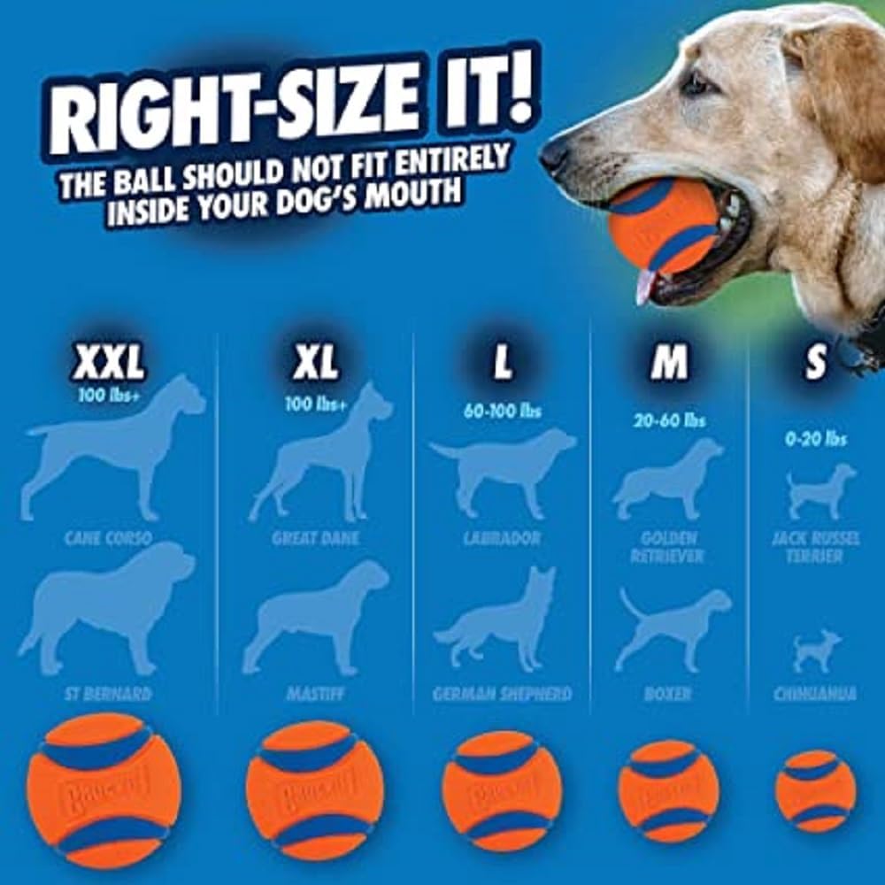 Chuckit! Ultra Ball Dog Toy - Size Large - For Dogs 60-100 lbs - Made from Durable Rubber - Super Bouncy - Floats in Water - 3-inch Diameter - Pack of 1
