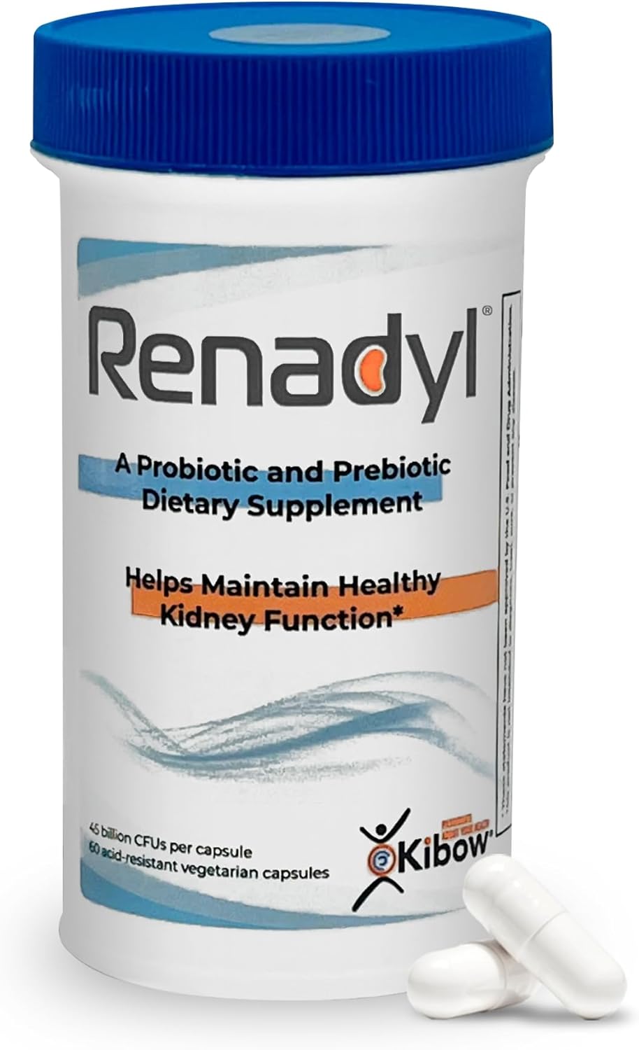 Renadyl Probiotic, 60 Capsules (1 Bottle, 1 Month Supply) | Supplement with Urea, Creatinine, & Uric Acid Support, 45 Billion CFUs, Clinically Tested