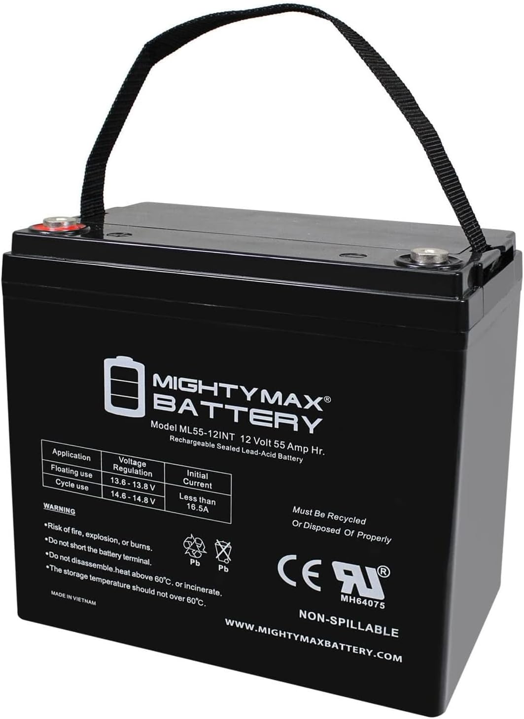 ML100-12 - 12 Volt 100 AH, Internal Thread (INT) Terminal, Rechargeable SLA AGM Battery, 1 Count (Pack of 1)