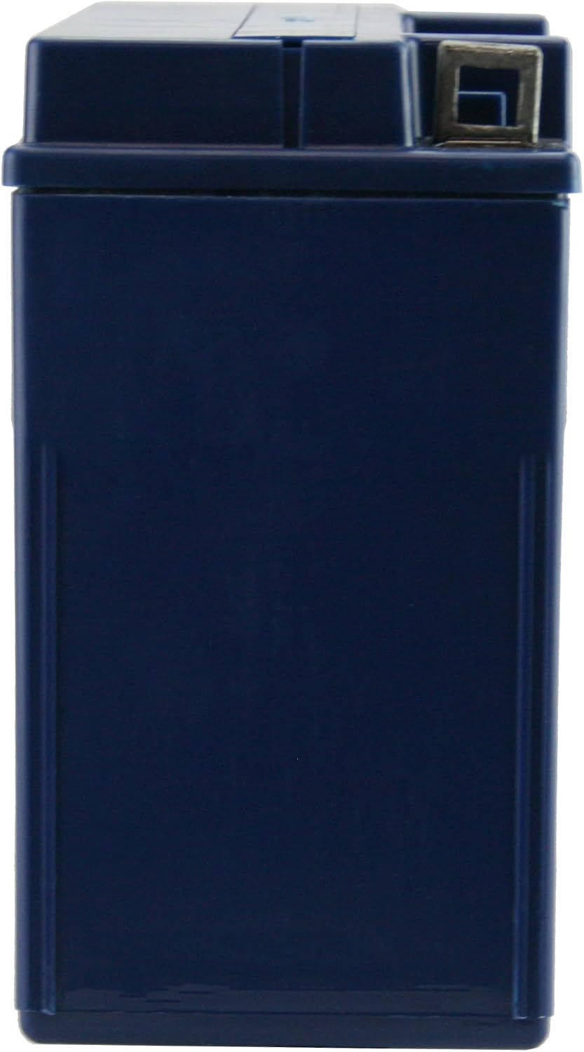 owerStar YTX20L-BS AGM Battery Compatible with Harley-Davidson, 310 CCA