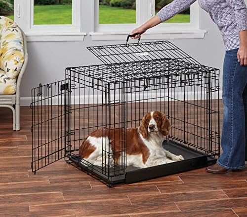 MidWest Homes for Pets Medium Ovation Double Door 30-inch Folding Metal Dog Crate, Front and Up & Away Side Doors, Space-Saving Design