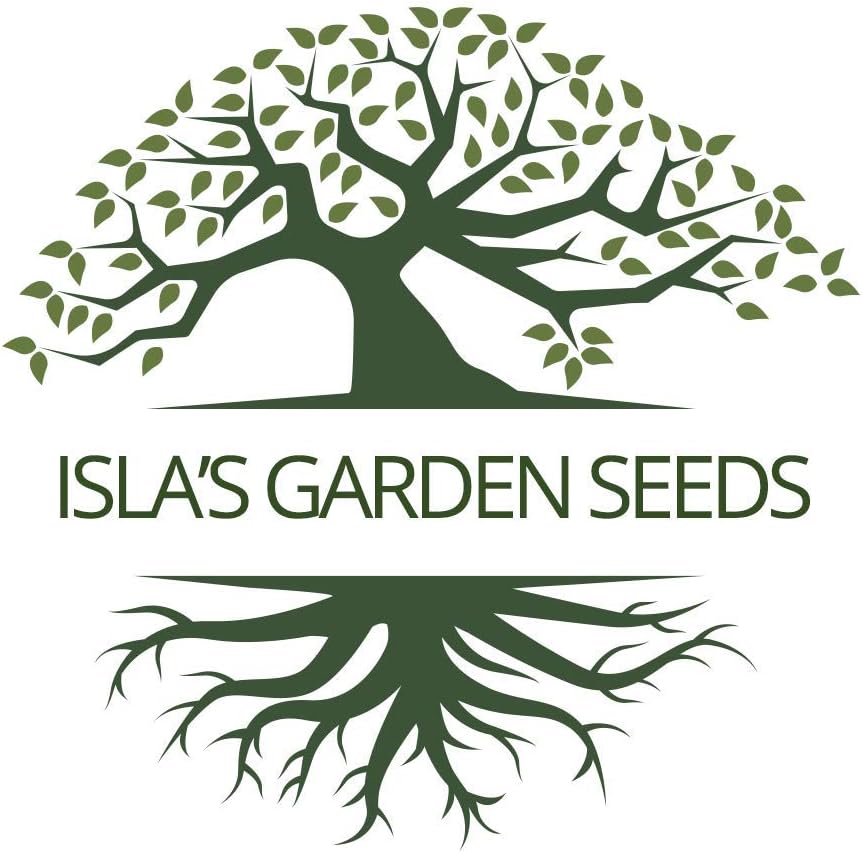 American Cranberry Bush Seeds (Viburnum trilobum) – 25+ Heirloom Seeds per Packet by Isla’s Garden Seeds, Hardy Shrub with Red Berries