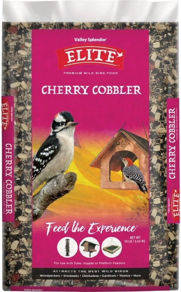 Cherry Cobbler