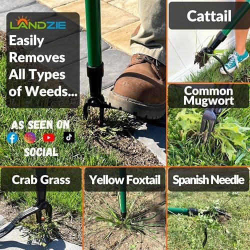 Weeder Weed Puller Tool, 55 Inch Steel Stand Up Weed Puller with Long Handle