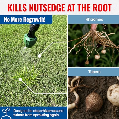 Sedgehammer Plus Turf Herbicide, Purple & Yellow Nutsedge Killer (1) | Lawns with Pre-Mixed Surfactant, Lawn & Pet Safe Weed Killer Mix for Residential Use