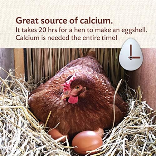 Manna Pro Crushed Oyster Shell for Chickens, Calcium Supplement, 5 lb Bag
