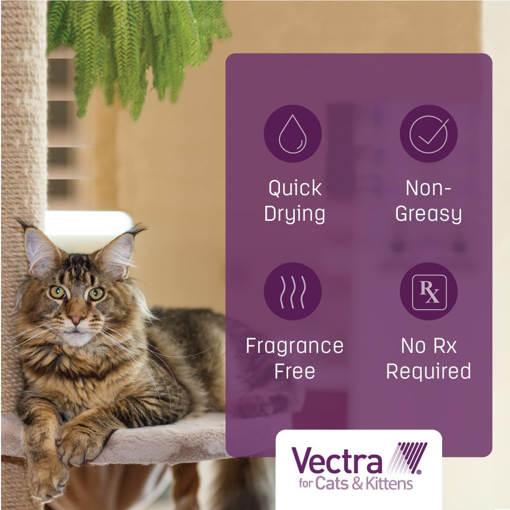 Vectra for Cats Flea Treatment & Prevention for Large Cats (Over 9 lbs.) 6-Month Supply | No Prescription Required