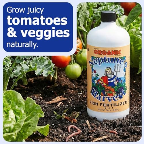 Neptune's Harvest Fish Fertilizer (2-4-1) - Organic Liquid Plant Fertilizer - Fish Hydrolysate for Vegetables, Flowers, Fruit, Trees, Grass - Indoor and Outdoor Plant Food (Gallon)