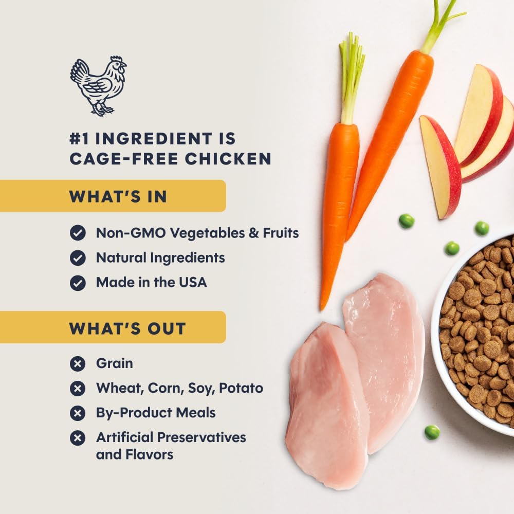 Instinct Original Dry Cat Food, Raw Coated Kibble, Real Chicken, 11 lb. Bag | Raw-coated kibble with cage-free chicken for strong muscles, digestive health, and healthy skin & coat, grain-free
