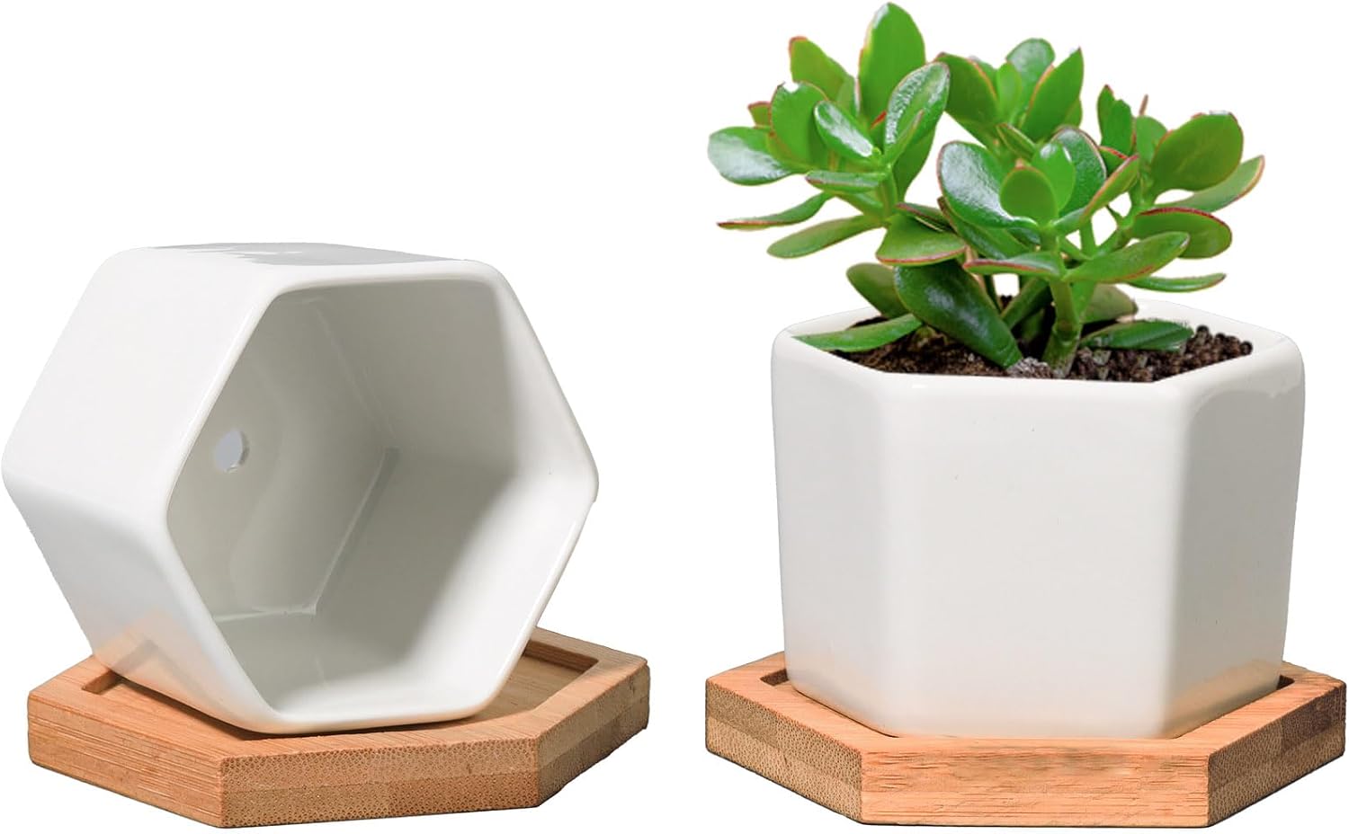 T4U Small White Succulent Planter Pots with Bamboo Tray Hexagon Set of 2, Geometric Ceramic Cactus Plant Holder, Succulent Plant Gifts for Gardener Women Coworker, Home Office Table Desk Decoration | Live cactus bonsai starter, Indoor windowsill decor, O…
