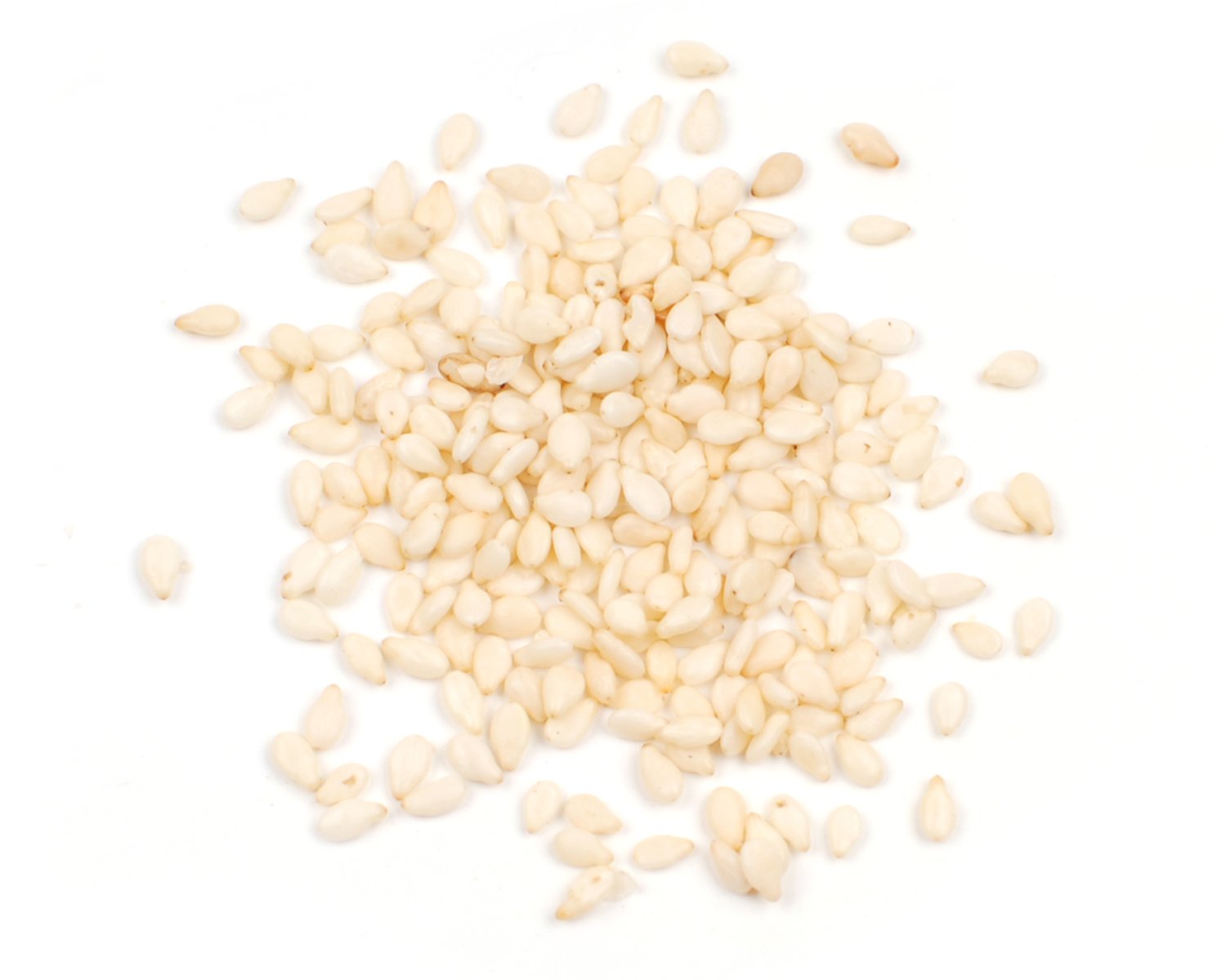 D'Allesandro Toasted Sesame Seeds - Rich, Nutty Flavor, Pre-Toasted for Convenience, 5 Lb Bag, All-Natural, Gluten-Free, Non-GMO, Kosher