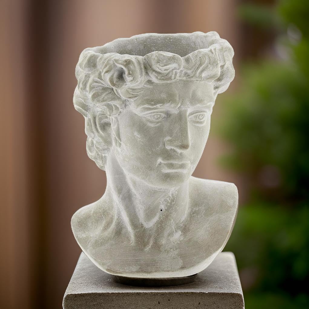 Greek Statue Head Cement Man Head David Planter (9")